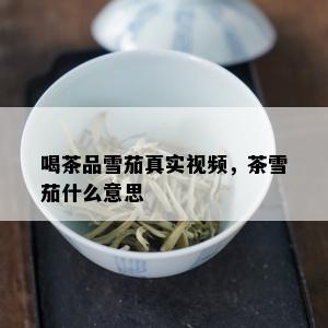 喝茶品雪茄真实视频，茶雪茄什么意思