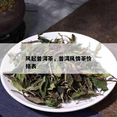 风起普洱茶，普洱风情茶价格表