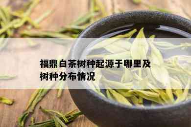 福鼎白茶树种起源于哪里及树种分布情况