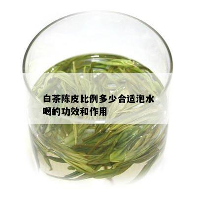 白茶陈皮比例多少合适泡水喝的功效和作用