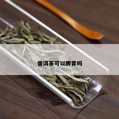 普洱茶可以脾胃吗