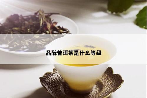 品醇普洱茶是什么等级