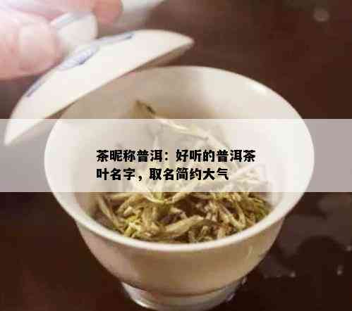 茶昵称普洱：好听的普洱茶叶名字，取名简约大气