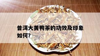 普洱大黄鸭茶的功效及印象如何？