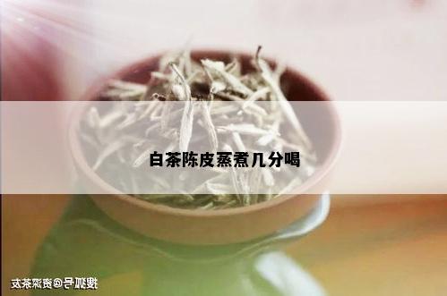 白茶陈皮蒸煮几分喝