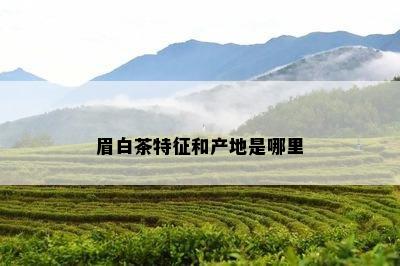 眉白茶特征和产地是哪里