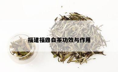 福建福鼎白茶功效与作用