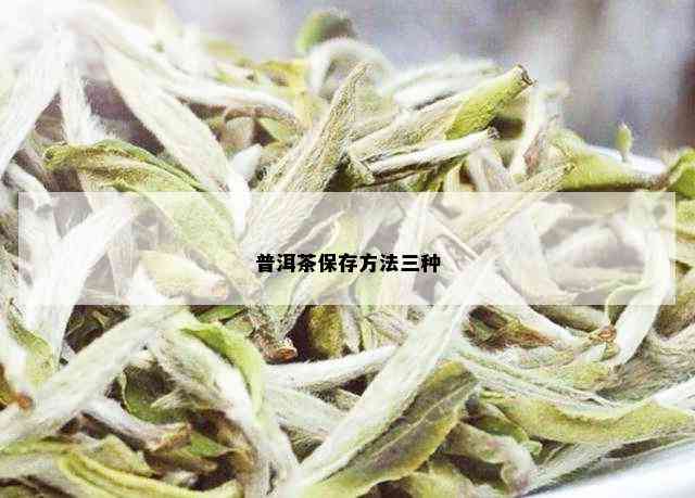 普洱茶保存方法三种