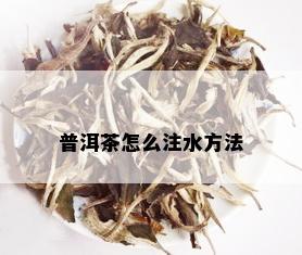 普洱茶怎么注水方法