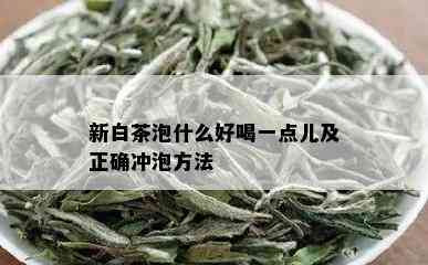 新白茶泡什么好喝一点儿及正确冲泡方法