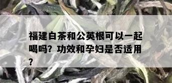 福建白茶和公英根可以一起喝吗？功效和孕妇是否适用？