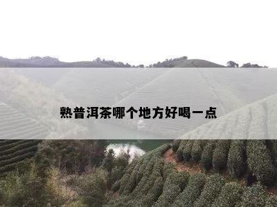 熟普洱茶哪个地方好喝一点