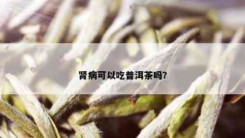 肾病可以吃普洱茶吗？