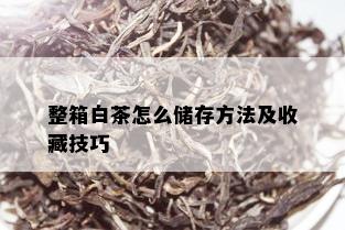 整箱白茶怎么储存方法及收藏技巧