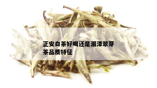 正安白茶好喝还是湄潭翠芽茶品质特征