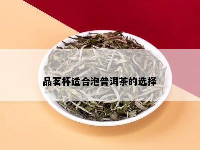 品茗杯适合泡普洱茶的选择