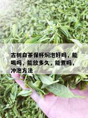 古树白茶保杯焖泡好吗，能喝吗，能放多久，能煮吗，冲泡方法