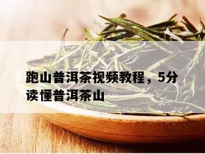 跑山普洱茶视频教程，5分读懂普洱茶山