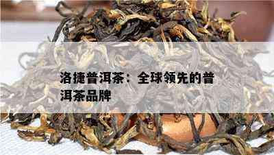 洛捷普洱茶：全球领先的普洱茶品牌