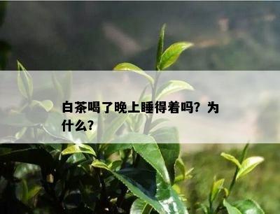 白茶喝了晚上睡得着吗？为什么？