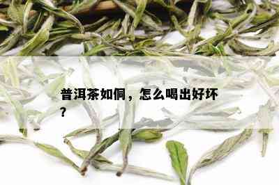 普洱茶如侗，怎么喝出好坏？