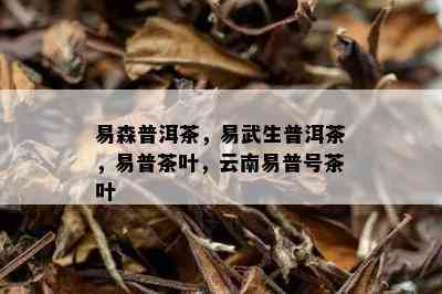 易森普洱茶，易武生普洱茶，易普茶叶，云南易普号茶叶