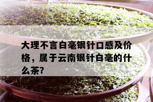 大理不言白毫银针口感及价格，属于云南银针白毫的什么茶？