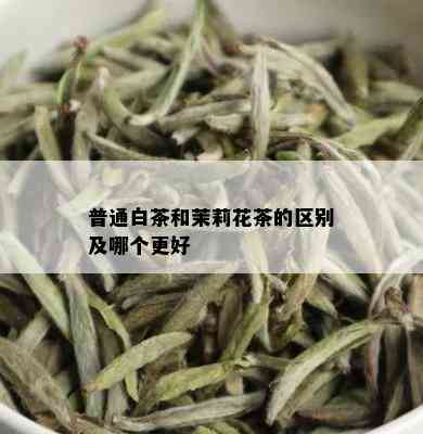 普通白茶和茉莉花茶的区别及哪个更好