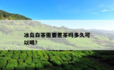 冰岛白茶需要煮茶吗多久可以喝？