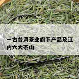 一古普洱茶业旗下产品及江内六大茶山