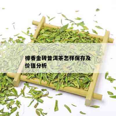 樟香金砖普洱茶怎样保存及价值分析