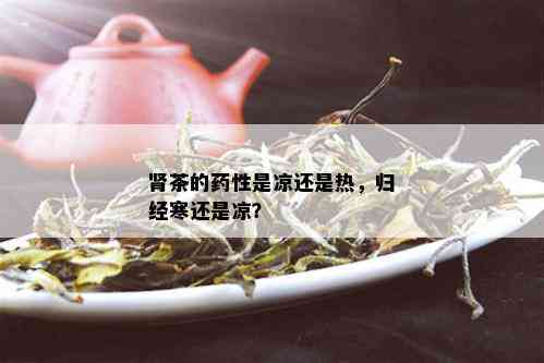 肾茶的性是凉还是热，归经寒还是凉？