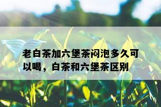 老白茶加六堡茶闷泡多久可以喝，白茶和六堡茶区别