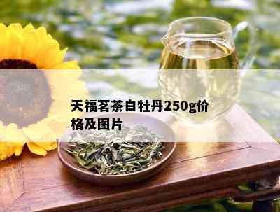 天福茗茶白牡丹250g价格及图片