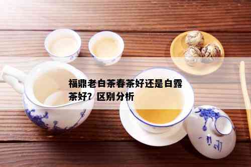 福鼎老白茶春茶好还是白露茶好？区别分析