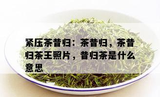 紧压茶昔归：茶昔归，茶昔归茶王照片，昔归茶是什么意思