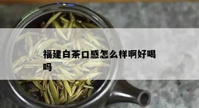 福建白茶口感怎么样啊好喝吗