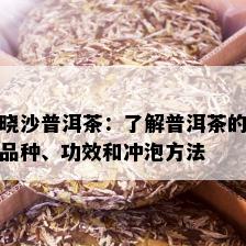 晓沙普洱茶：了解普洱茶的品种、功效和冲泡方法