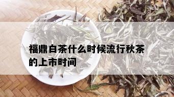 福鼎白茶什么时候流行秋茶的上市时间