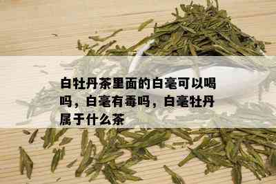 白牡丹茶里面的白毫可以喝吗，白毫有吗，白毫牡丹属于什么茶