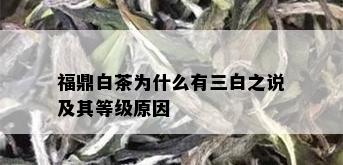 福鼎白茶为什么有三白之说及其等级原因