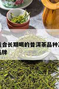 适合长期喝的普洱茶品种及品牌