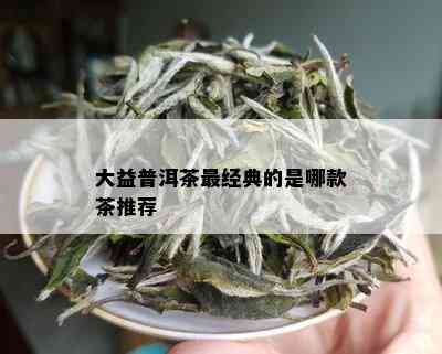 大益普洱茶最经典的是哪款茶推荐