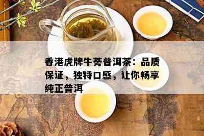 香港虎牌牛蒡普洱茶：品质保证，独特口感，让你畅享纯正普洱