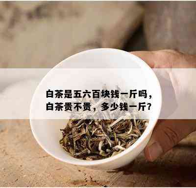 白茶是五六百块钱一斤吗，白茶贵不贵，多少钱一斤？