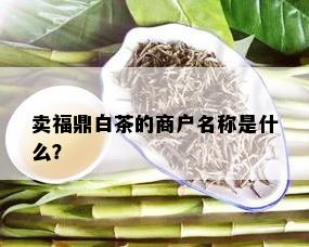 卖福鼎白茶的商户名称是什么？