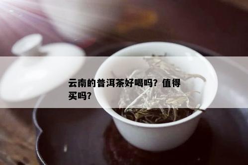 云南的普洱茶好喝吗？值得买吗？