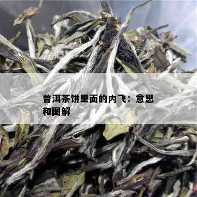 普洱茶饼里面的内飞：意思和图解