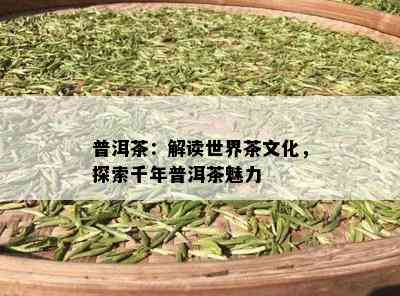 普洱茶：解读世界茶文化，探索千年普洱茶魅力