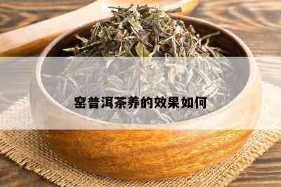 窑普洱茶养的效果如何